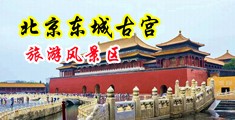 人人妻插屄中国北京-东城古宫旅游风景区